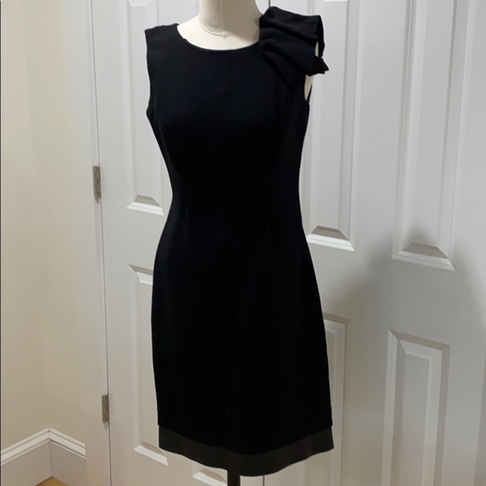 Anna Molinari sheath with leather trim